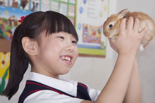Young female student holding a rabbit in class