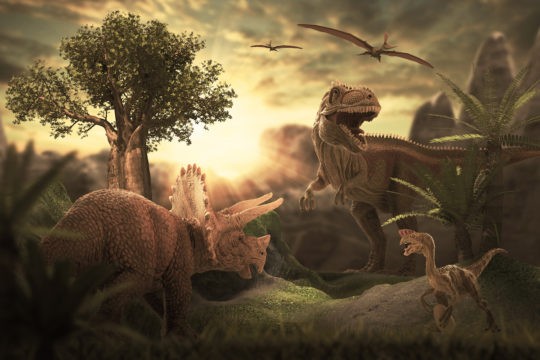 Illustrated scene of various dinosaurs