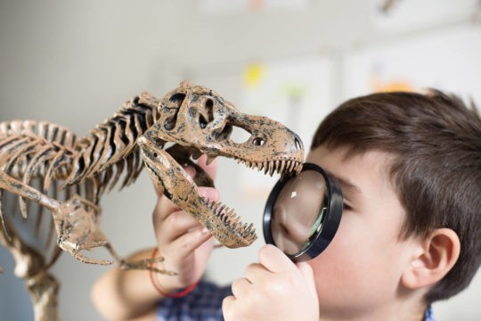 A boy looks at a dinosaur fossil model through a magnifying glass.