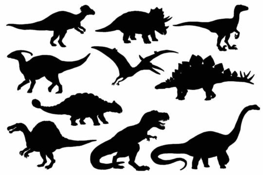 Black outlines of various dinosaurs