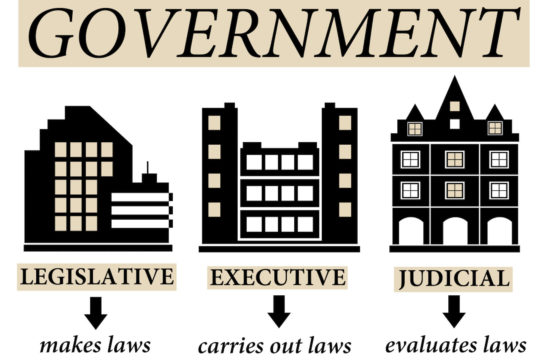 Illustration showing the three branches of government and their definitions